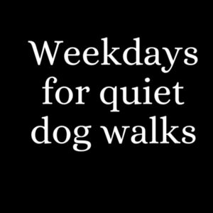 Weekdays for quiet dog walks Design