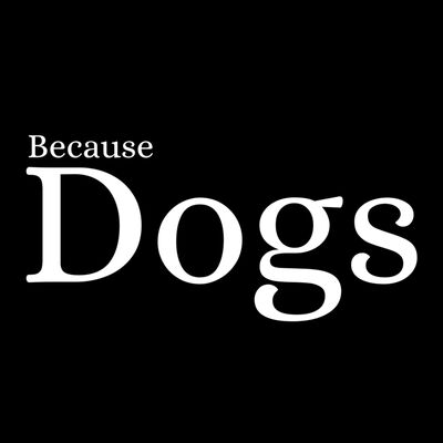 Because Dogs Thumbnail