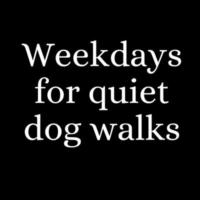 Weekdays for quiet dog walks Thumbnail